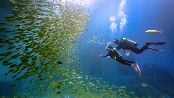 Xiaomeisha Sea World