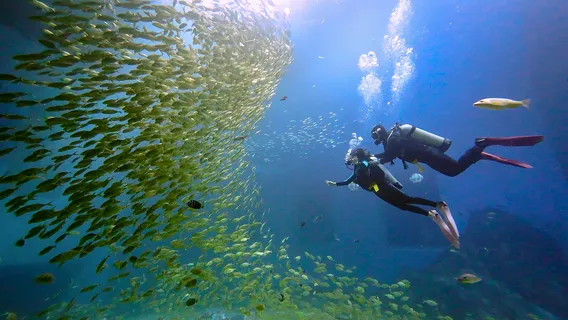 小梅沙海洋世界