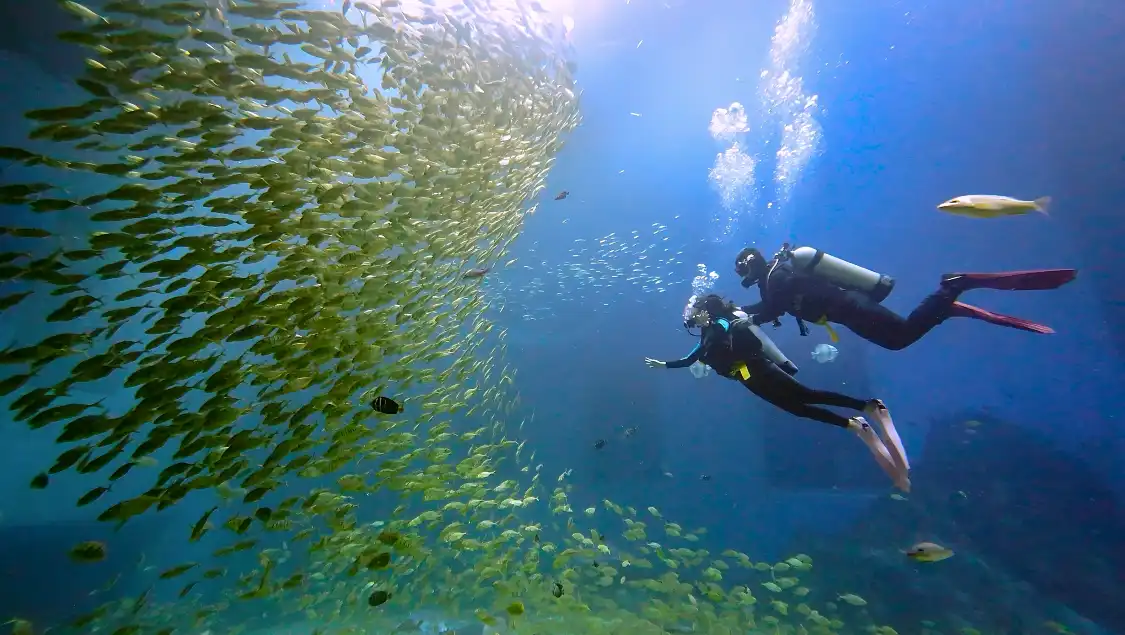 Hotels near Xiaomeisha Sea World