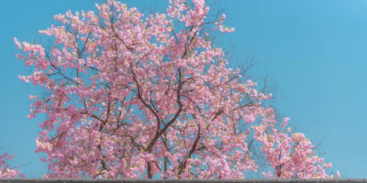 茅山東方鹽湖城·道天下