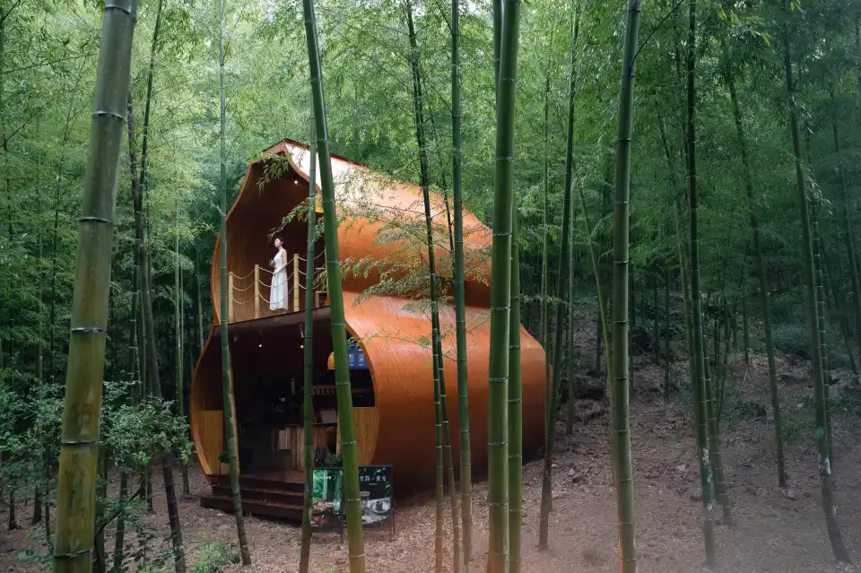 3_Tianmu Lake Nanshan Bamboo Sea Scenic Spot