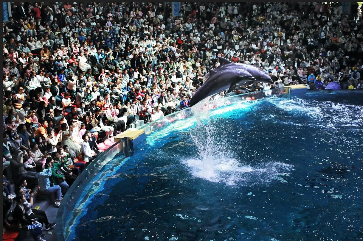 5_Zhengzhou Aquarium