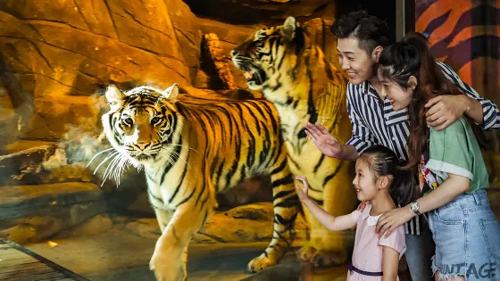 皇家海洋樂園