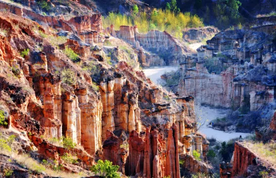物茂土林（虎跳灘土林）門票優待（小童／長者／學生／其他優惠對象）
