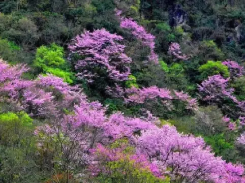 Tangjiahe National Nature Reserve