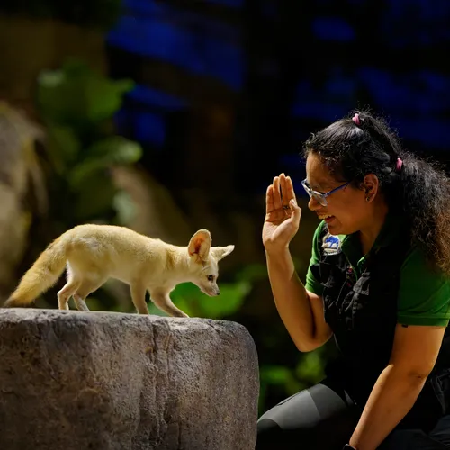 夜間野生動物園