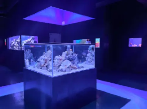 ウルムチ海洋館