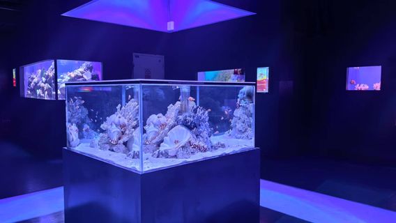 Urumqi Aquarium