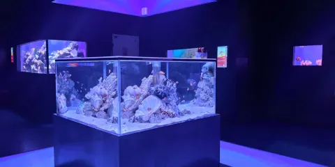烏魯木齊海洋館