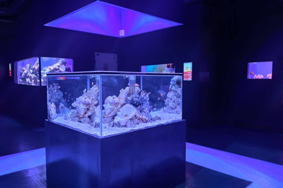 烏魯木齊海洋館