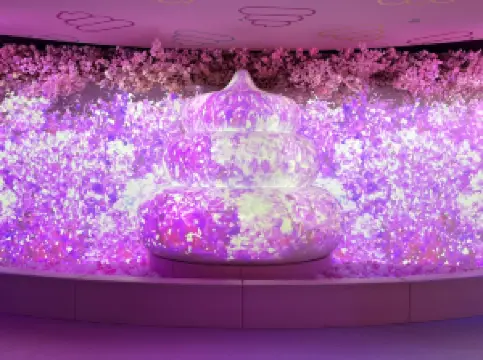 응코 뮤지엄 도쿄