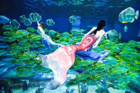 Xi An Huaxia Cultural Travel Ocean Park