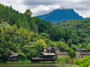 Wuzhishan Fangnuo Village Tropical Rainforest