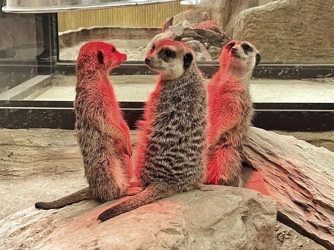 2_蘭陽動植物王國