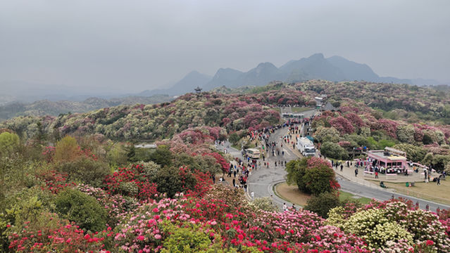 xiao fei tong yong hang kong ( bai li du juan zhi sheng ji fei xing ji di )