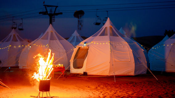 Yinken Steppe Desert Ecological Cultural Tourism Area