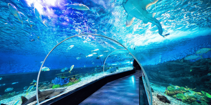 Manila Ocean Park