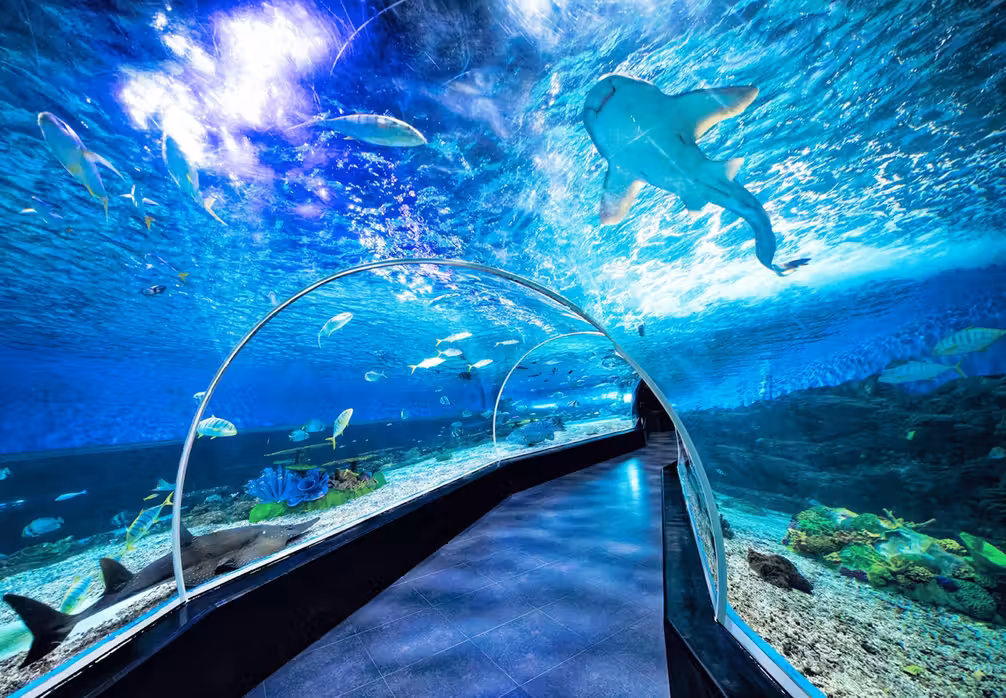 Tampa to Metro Manila Flights