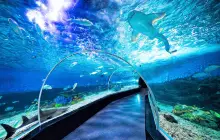 Manila Ocean Park