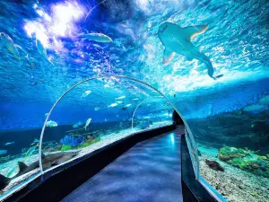 Manila Ocean Park