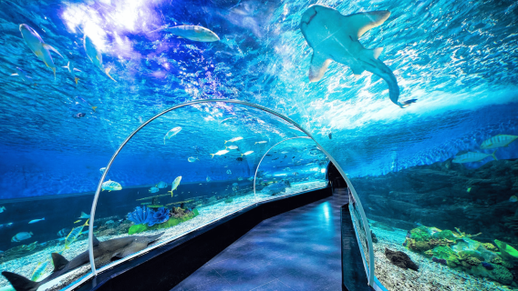 Manila Ocean Park