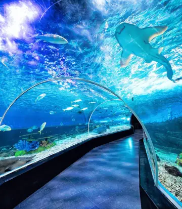 Regione Capitale Nazionale