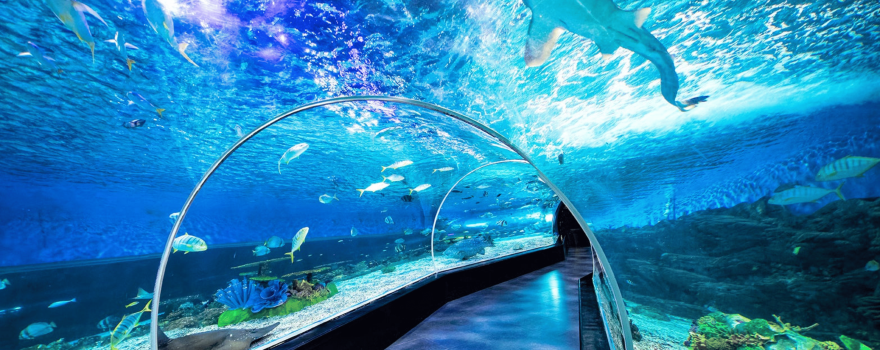 Manila Ocean Park