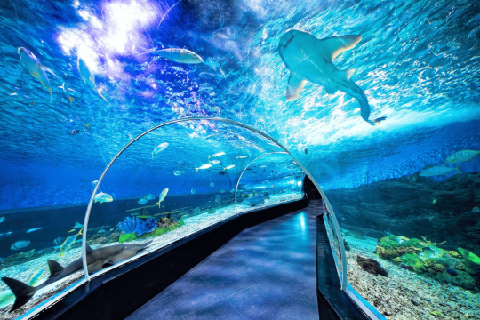 馬尼拉海洋公園