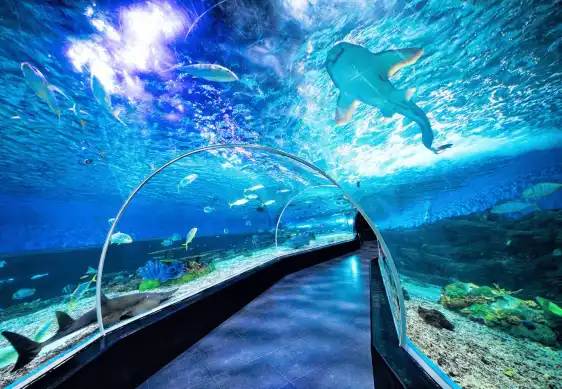 Hotel in zona Manila Ocean Park