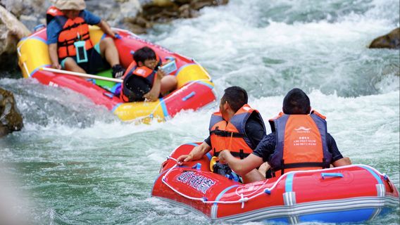 dao zhen da xia gu piao liu