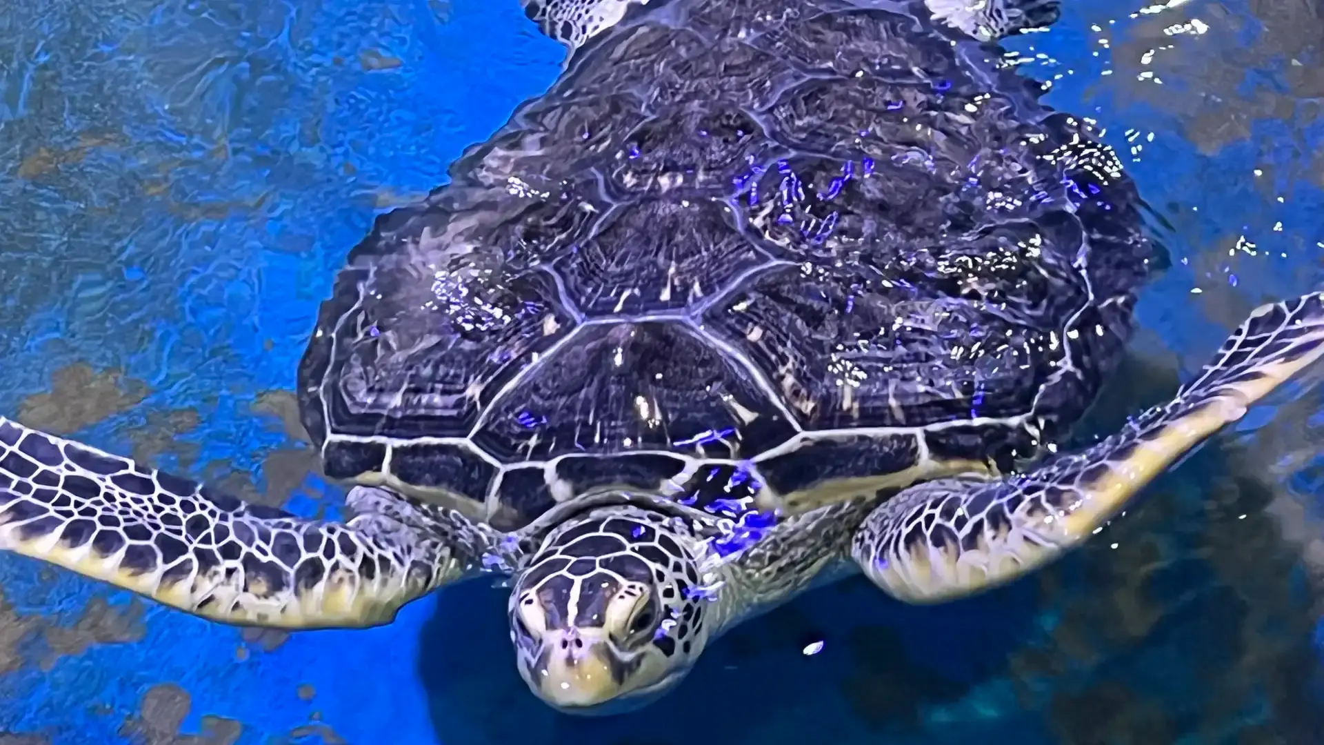 Hotels near The Anqing Sea World