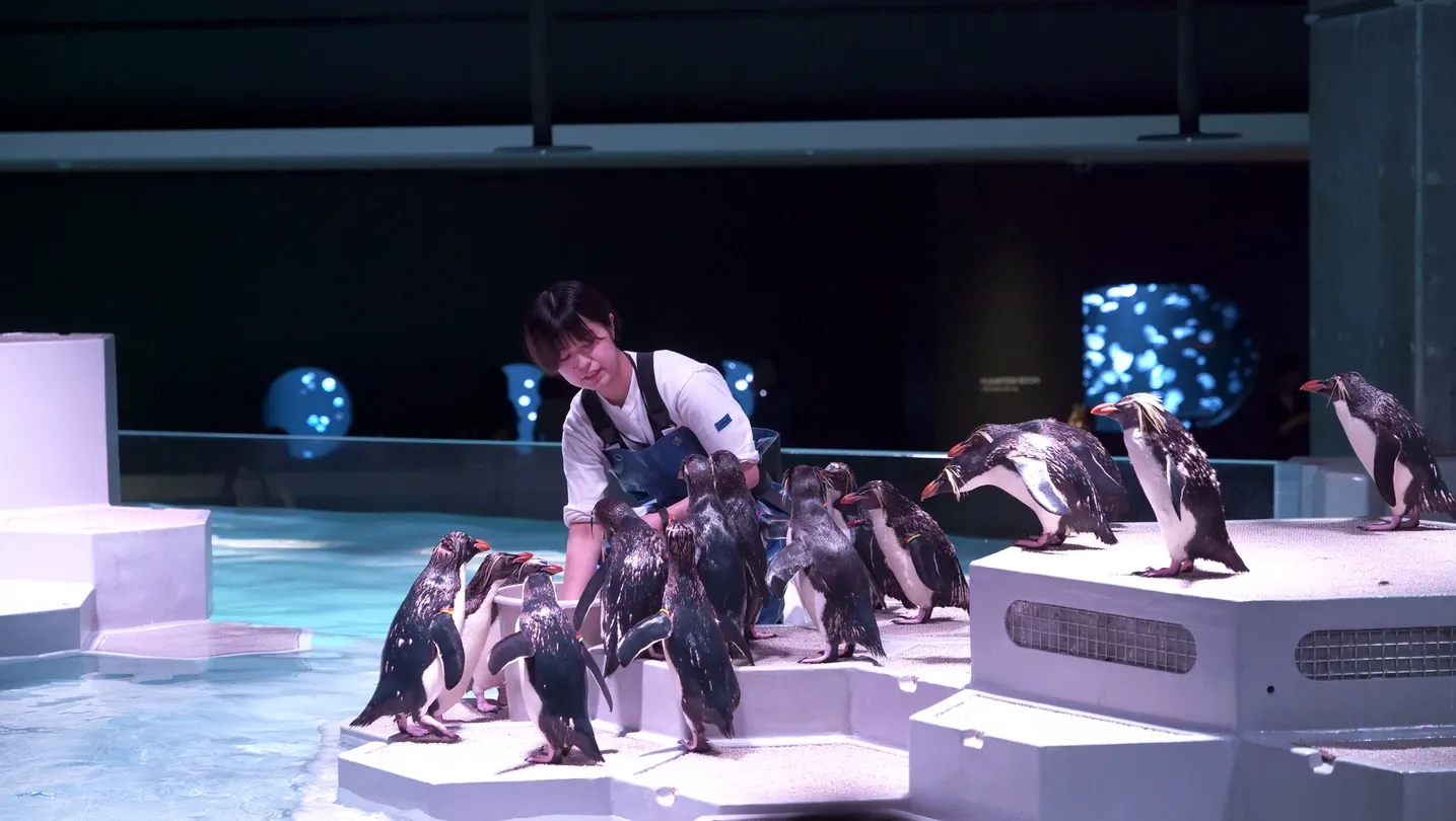 4_AOAO SAPPORO(北海道)