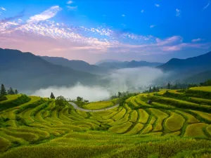 Jiangling Scenic Area