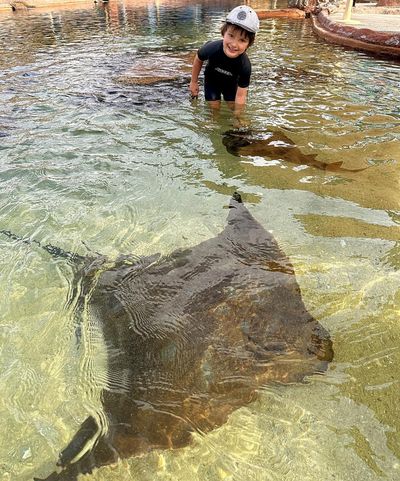 Irukandji Shark & Ray Encounters