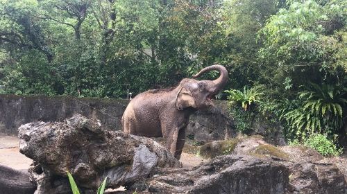 台北市立動物園