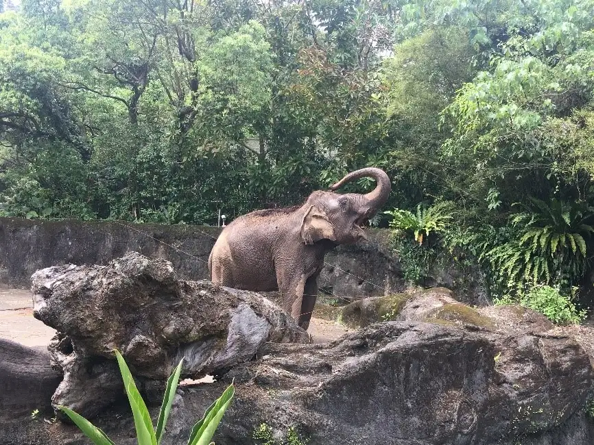 4_臺北市立動物園