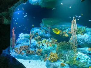Underwater World Pattaya