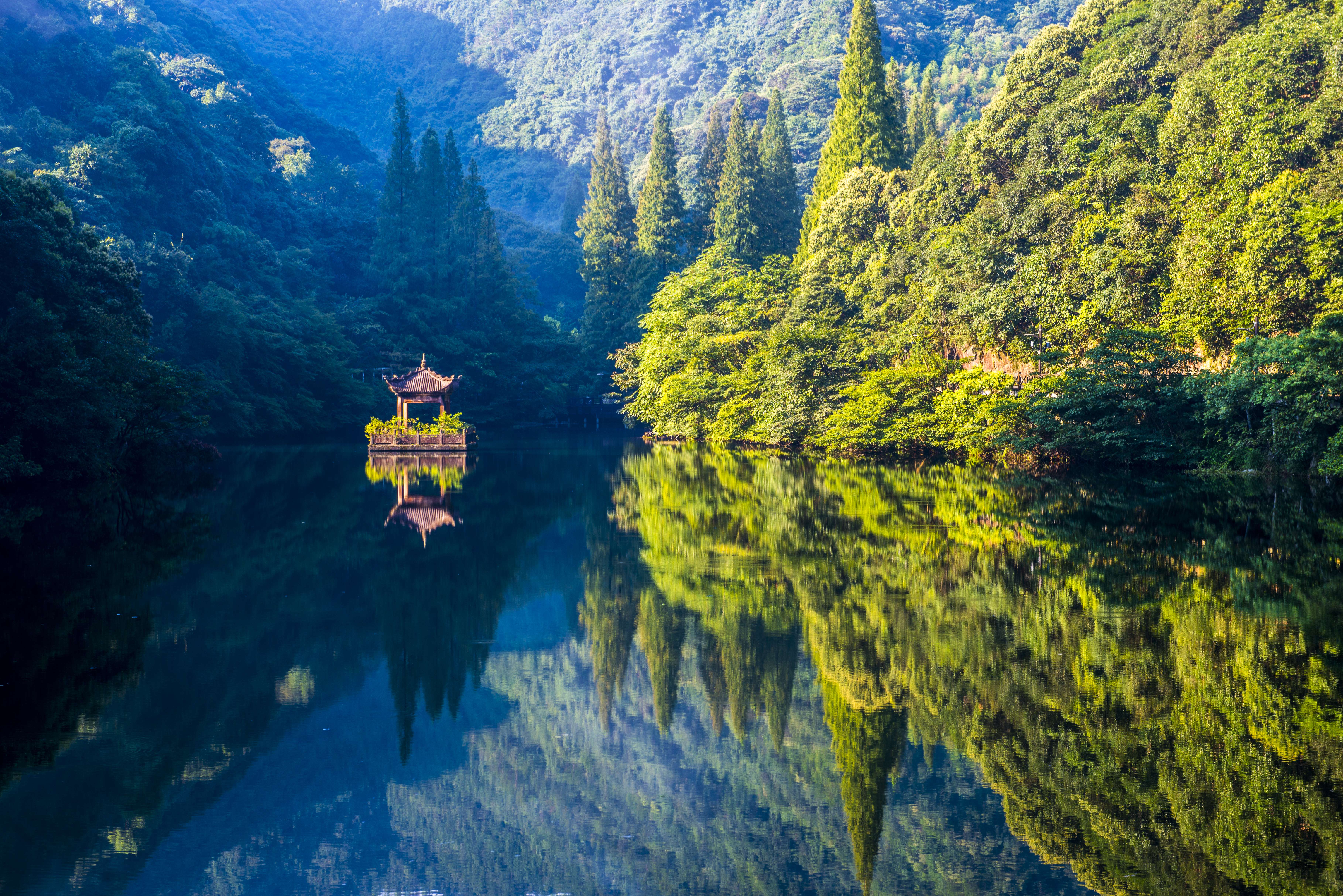 ning hai sen lin wen quan lv you du jia qu