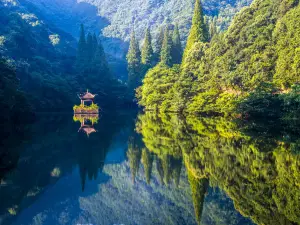 ning hai sen lin wen quan lv you du jia qu