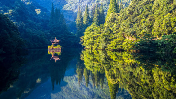 ning hai sen lin wen quan lv you du jia qu