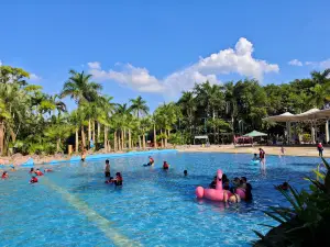 Champs Élysées South China Hot Spring Resort