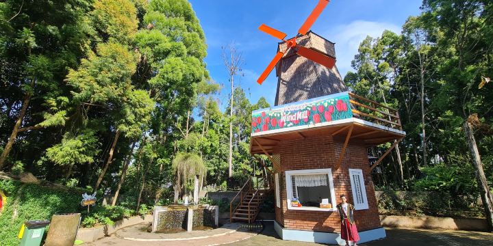 Farmhouse Susu Lembang