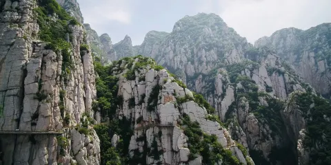 嵩山少林景區門票成人票
