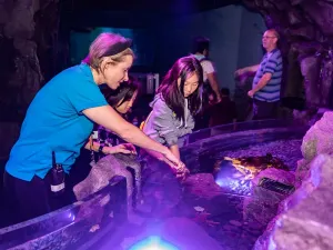 SEA LIFE Kelly Tarlton's Aquarium