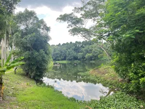 Hainan Tropical Botanical Garden