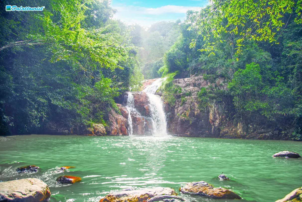 3_Datanla New Alpine Coaster