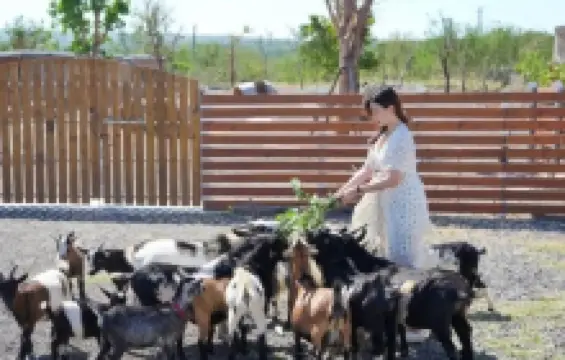 墾丁灰太狼生態教育園區