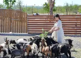 墾丁灰太狼生態教育園區