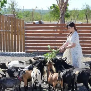 Kenting Big Wolf Ecological Education Park