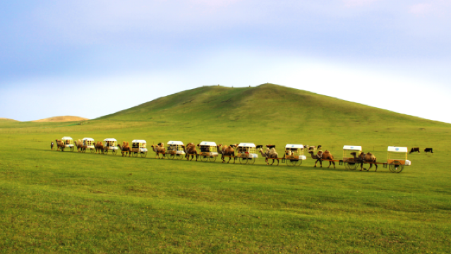 Nomadic Memory Constellation Theme Camp